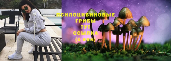 ПСИЛОЦИБИНОВЫЕ ГРИБЫ Богородицк